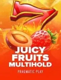 juicy fruits multihold - logo