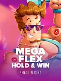 mega flex hold and win game logo